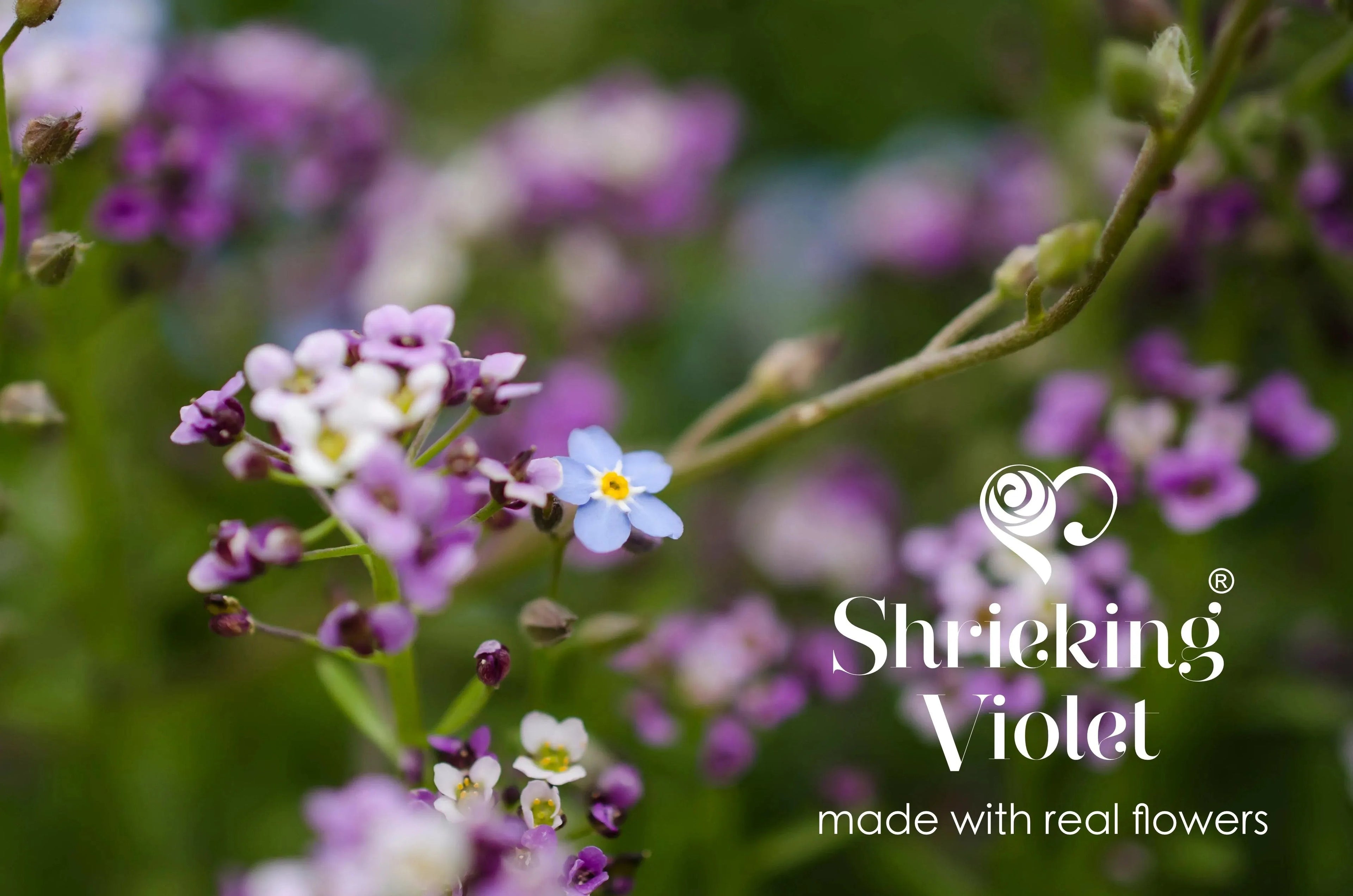 Mixed Flower Round Stud Earrings